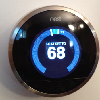 Nest